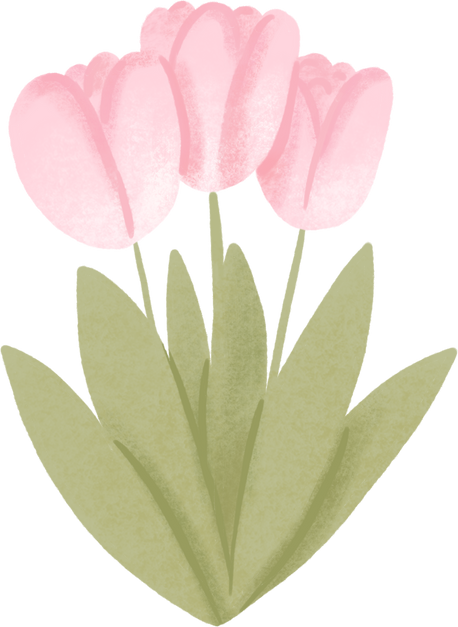 doodle hand drawn pink tulip